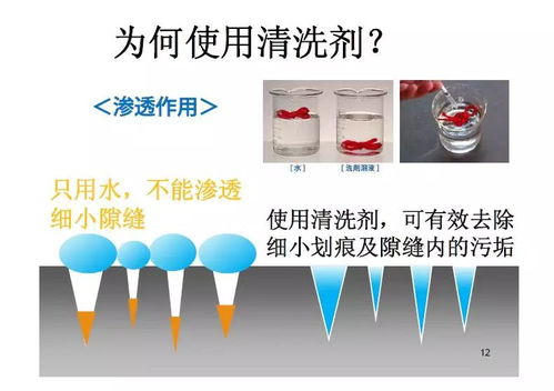 食品工廠清洗的重要性與電子產(chǎn)品互聯(lián)網(wǎng)銷售的協(xié)同發(fā)展